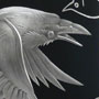 Bílé vrány / negativní rytina doplněná barvou / 20,5 × 10 cm