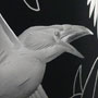 Bílé vrány / negativní rytina doplněná barvou / 20,5 × 10 cm