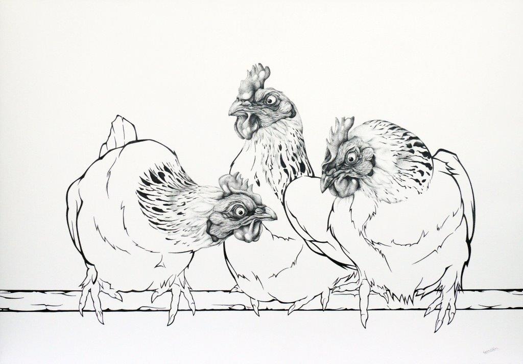 Slepice – Perokresba 50 x 70 cm